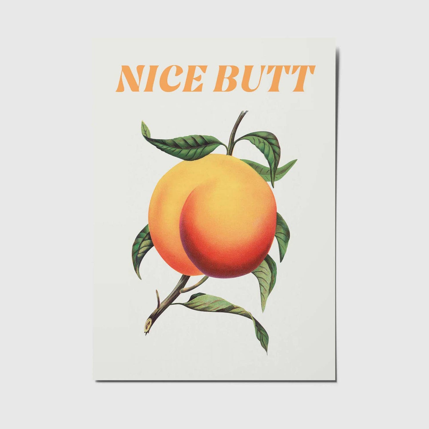 studio mirabella | Postkarte Nice butt