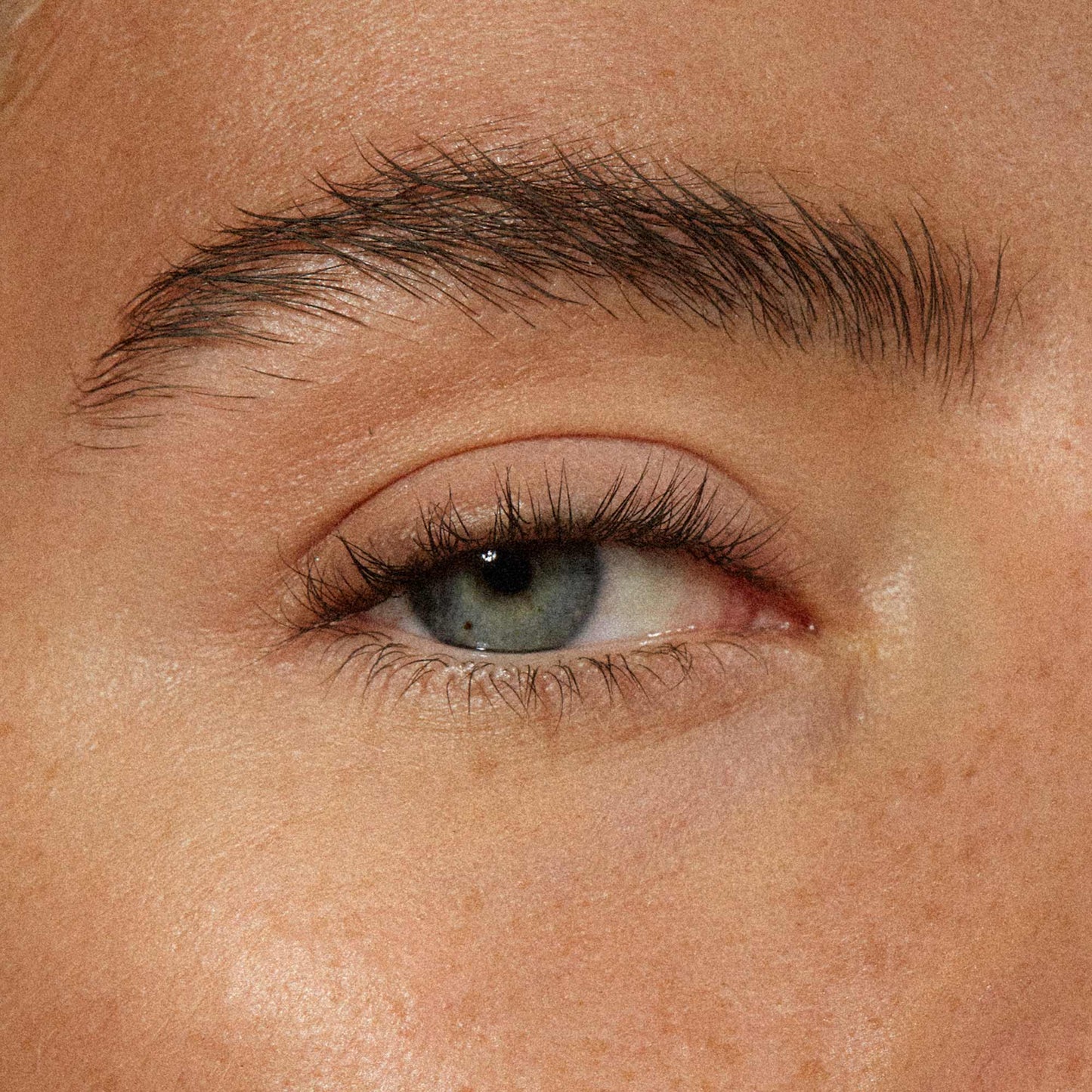 MÁDARA | The Brow Pencil