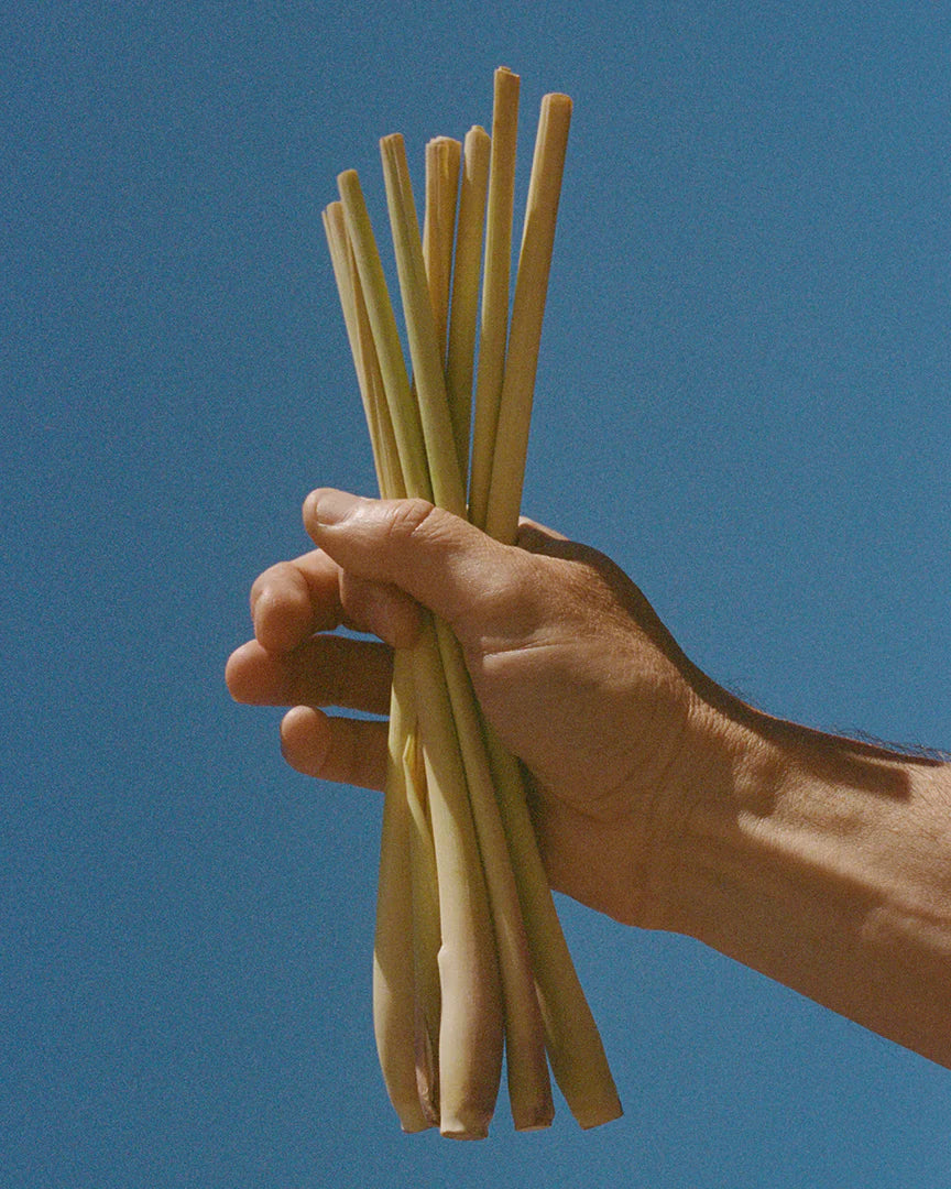 L:a Bruket | 069 Hand & Body Wash Lemongrass