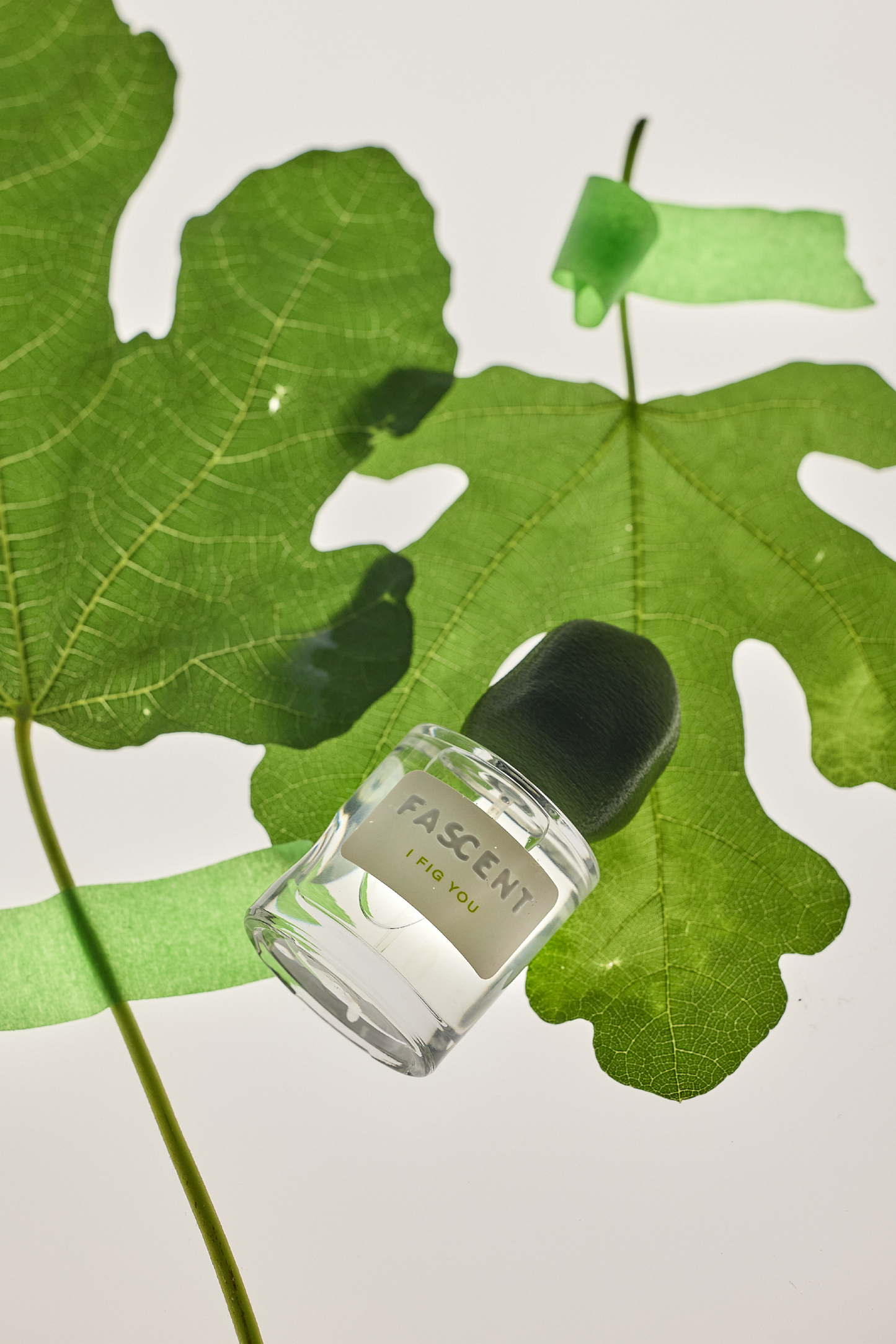 Fascent | Eau de Parfum I Fig You